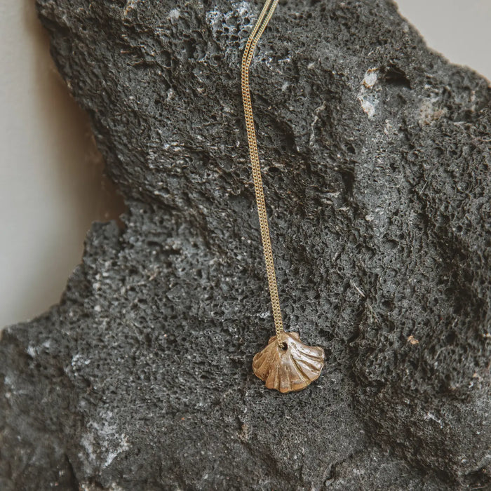 Saint Jacques Shell Necklace