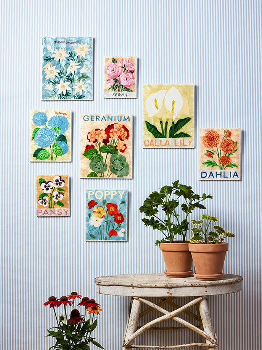 Floral Peony Shell Wall Tile