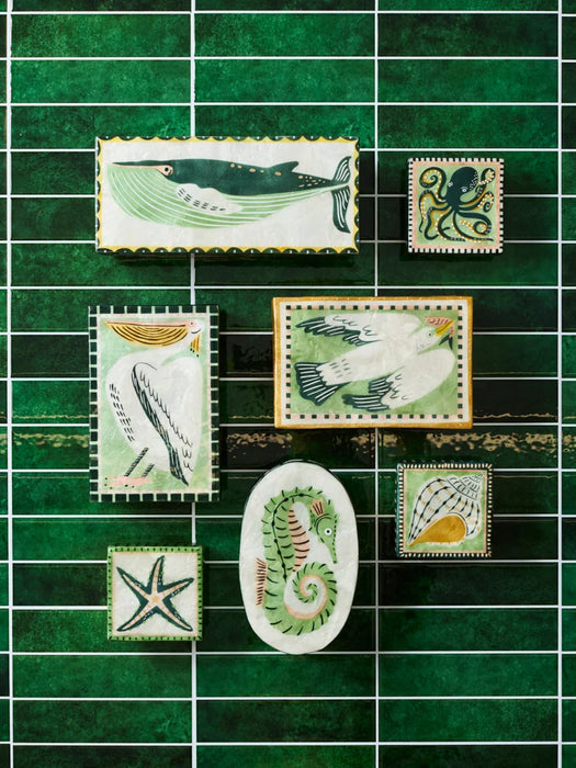 Preorder 1 week Mariner Whale Shell Box