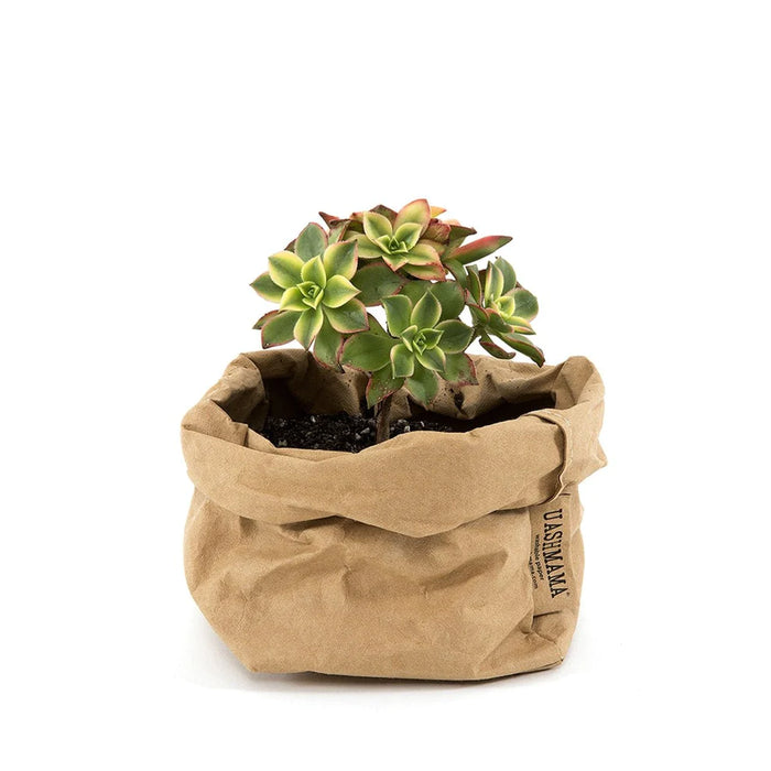 UASHMAMA Small Paper Bag Avana